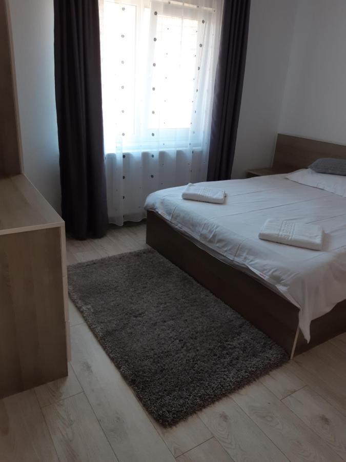 Zărneşti Vila Georgeta מראה חיצוני תמונה