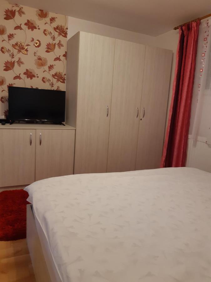 Zărneşti Vila Georgeta מראה חיצוני תמונה