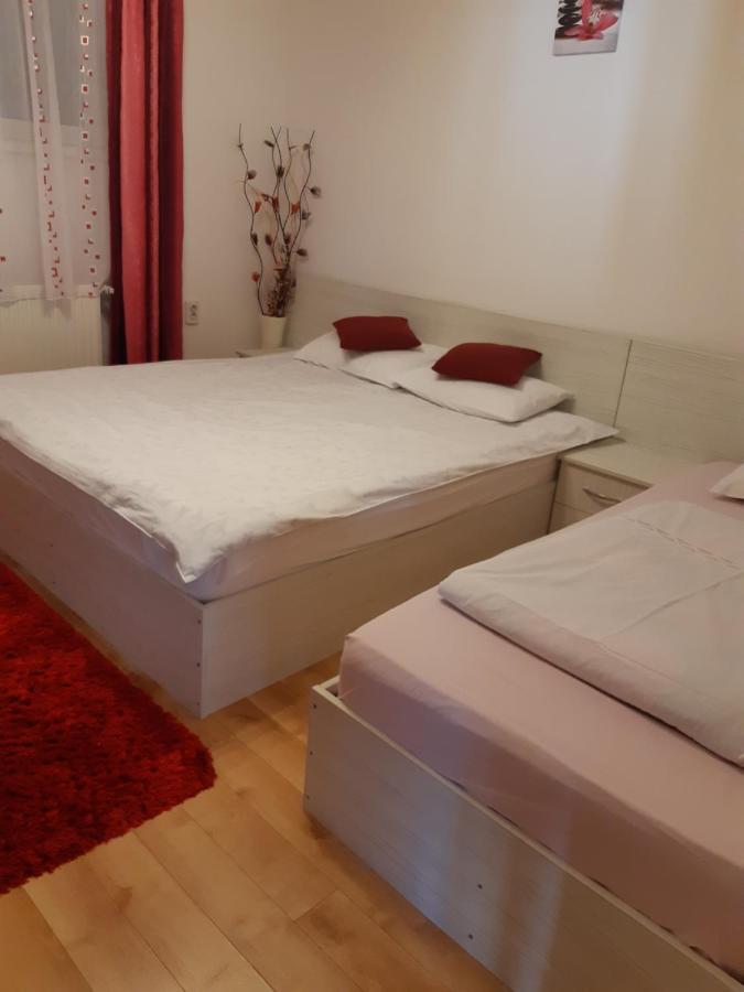 Zărneşti Vila Georgeta מראה חיצוני תמונה