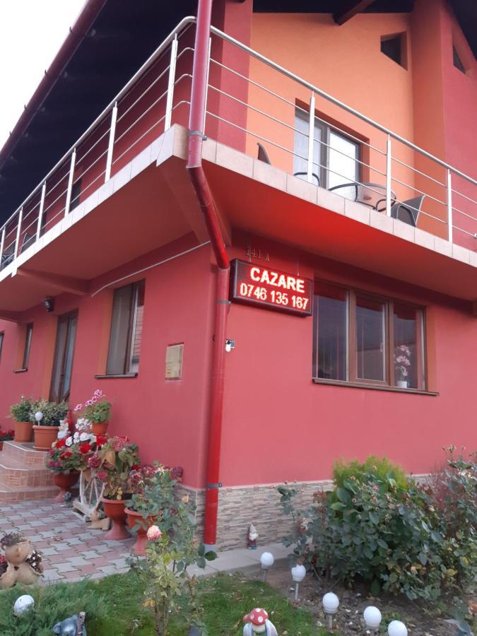 Zărneşti Vila Georgeta מראה חיצוני תמונה