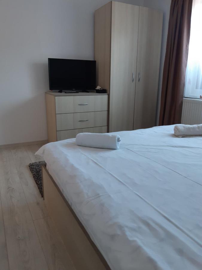 Zărneşti Vila Georgeta מראה חיצוני תמונה