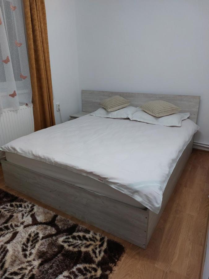 Zărneşti Vila Georgeta מראה חיצוני תמונה