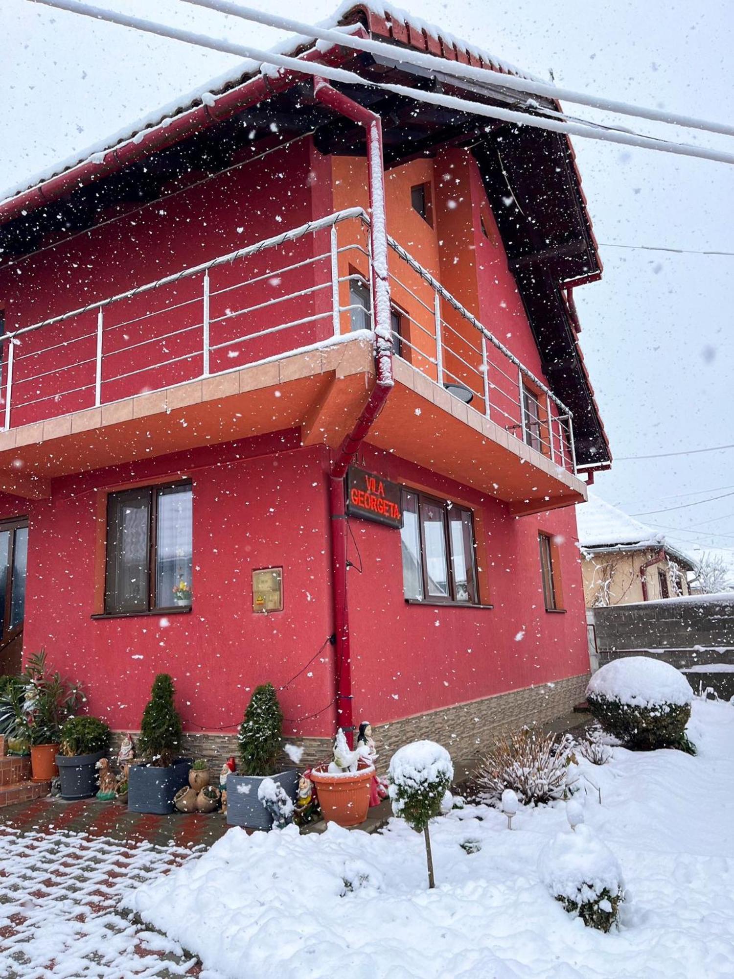Zărneşti Vila Georgeta מראה חיצוני תמונה